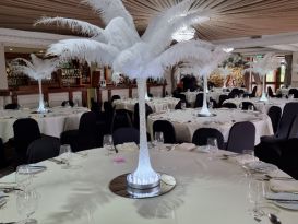 aston wood golf club feathers3