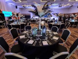 ostrich feathers reading FC2