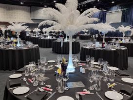 white ostrich feather displays manchester central2